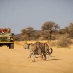 Norte de Namibia en grupo