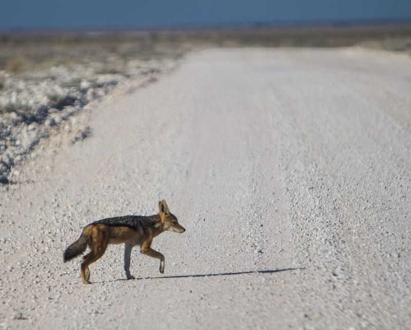 viaje-a-namibia