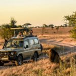 consejos para safari fotográfico a África