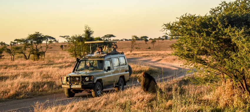 consejos para safari fotográfico a África